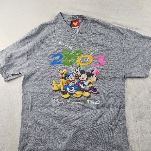 Vintage Disney Shirt Jerry Leigh large Or Med disneyworld 2003  grey - Picture 1 of 10